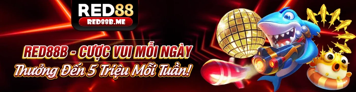 ok863: Đánh Giá Ứng Dụng Di Động